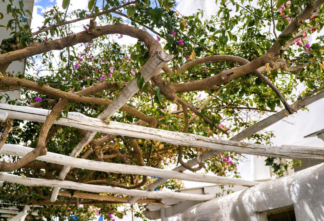 Tatil Evi K&k @mykonos Town Mykonos Town